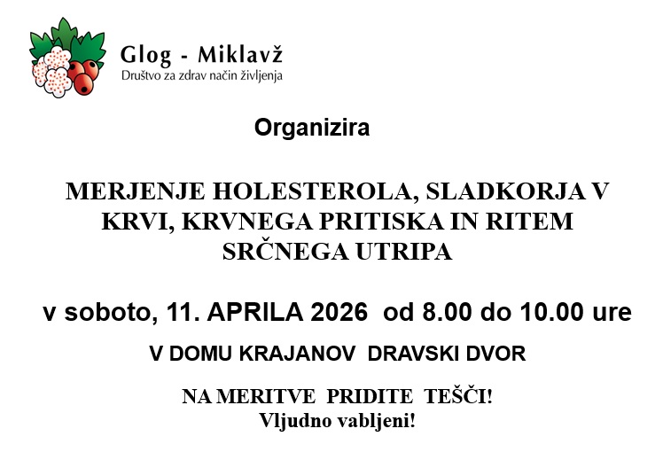 Brez naslova